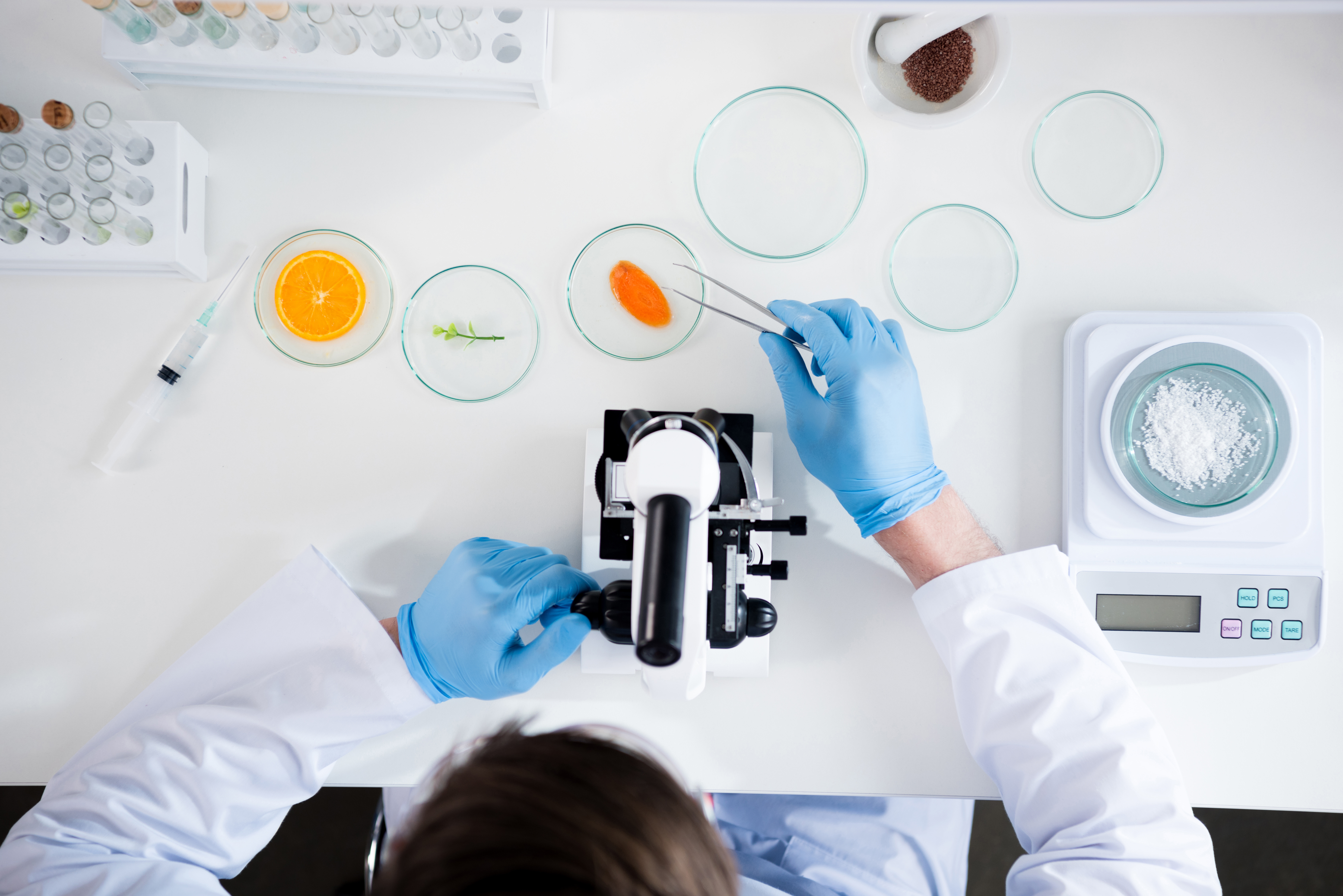 Petri Dishes